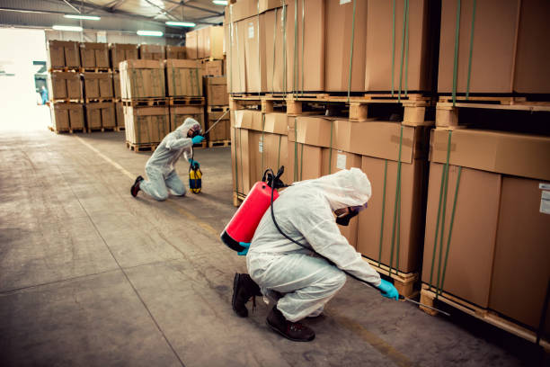 Best Wasp Removal Services  in Clarion, PA