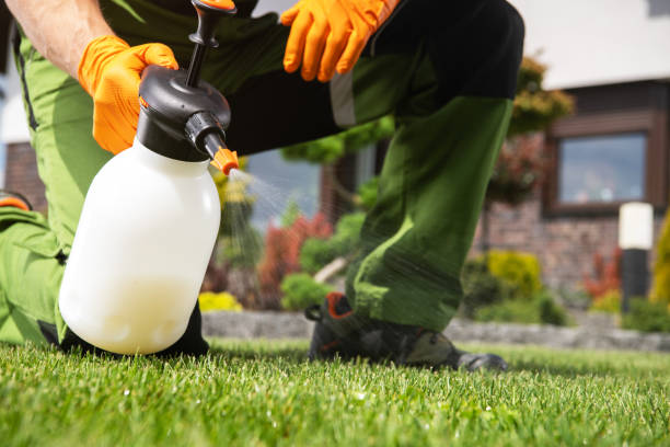 Best Insect Control  in Clarion, PA