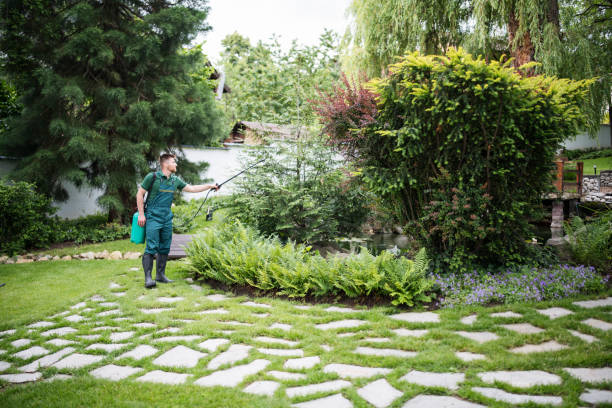 Best Pest Inspection Near Me  in Clarion, PA