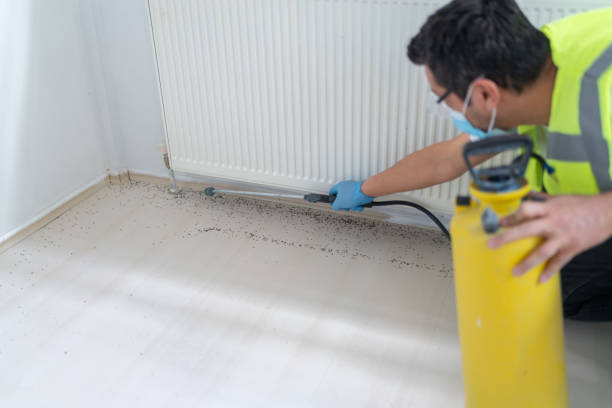 Pest Control for Restaurants in Clarion, PA